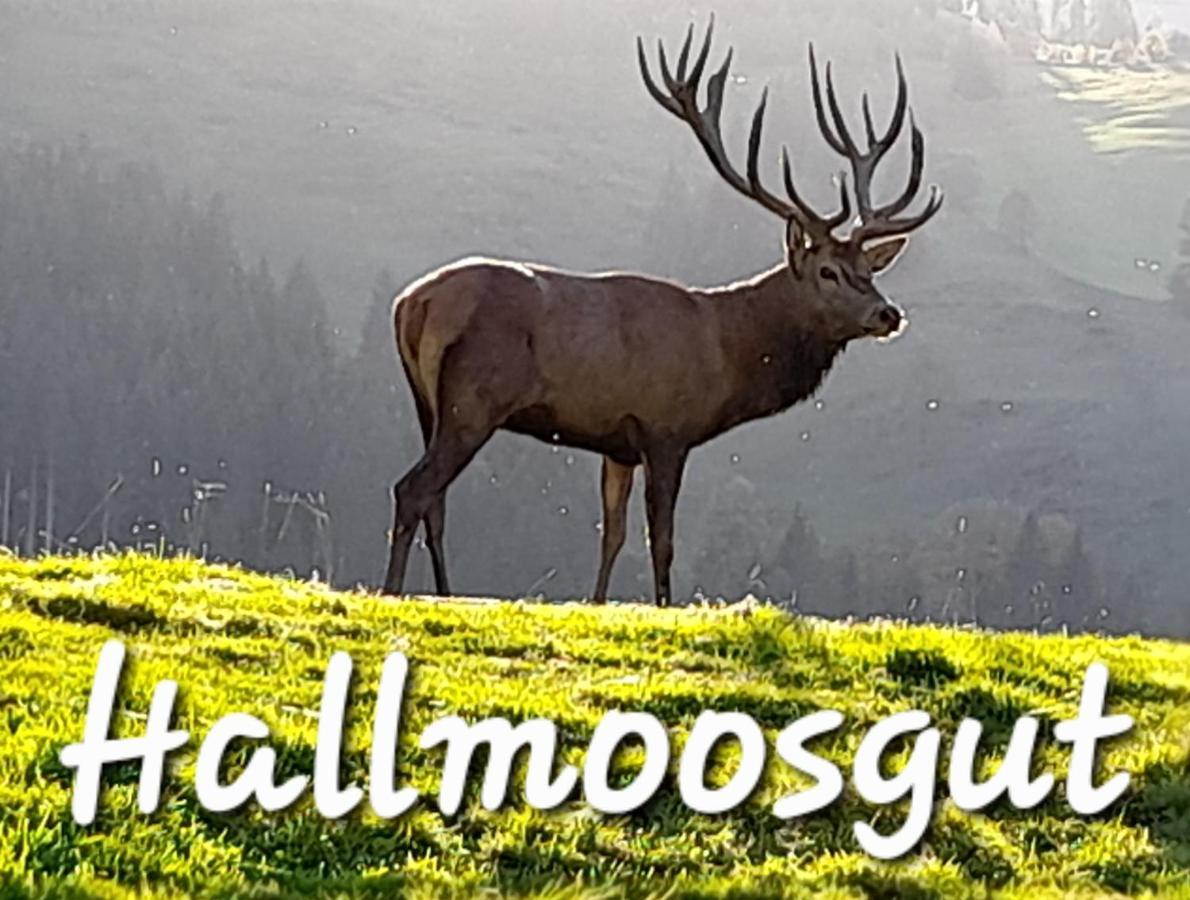 Hallmoosgut Sankt Johann im Pongau Kültér fotó