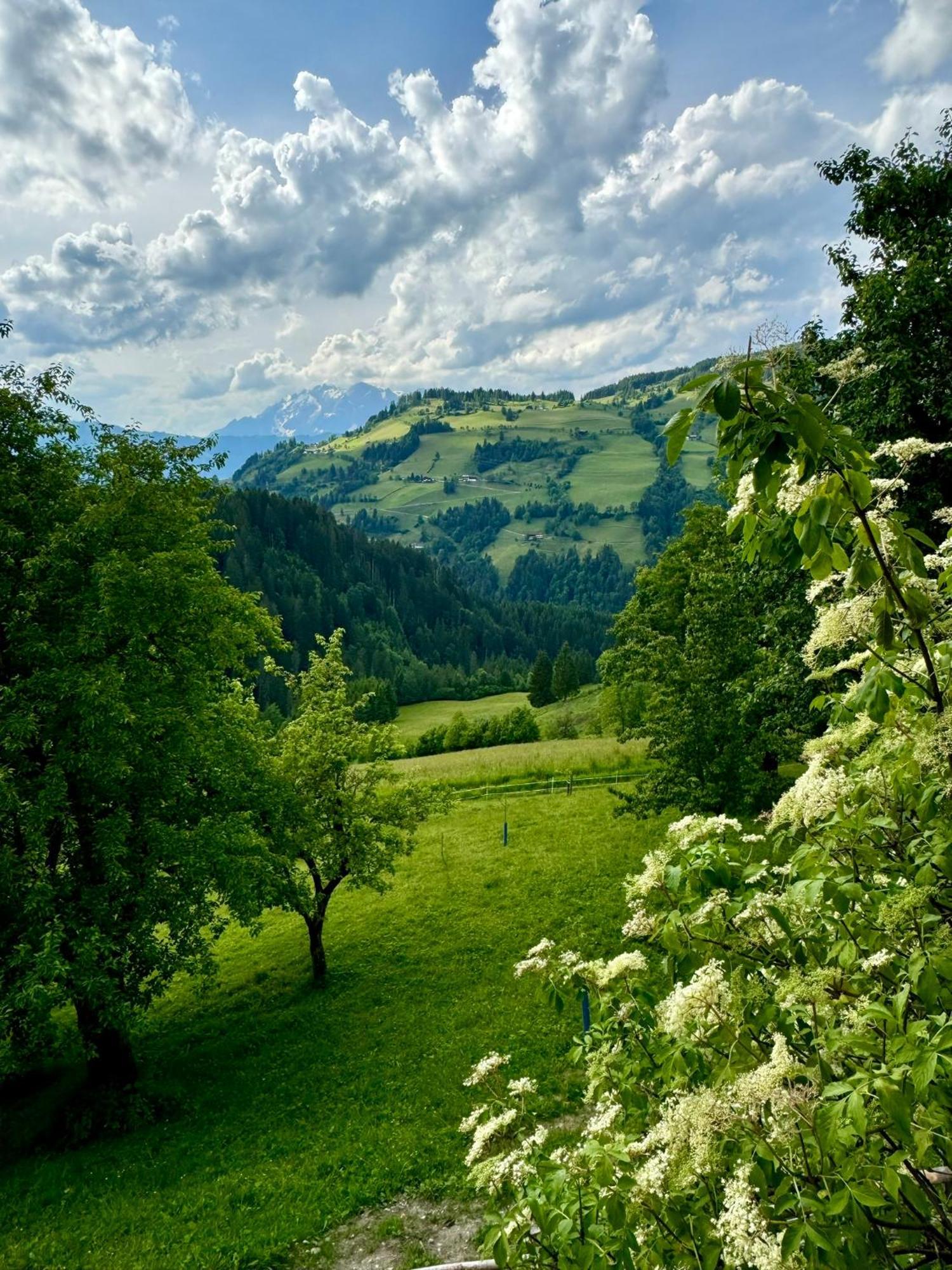 Hallmoosgut Sankt Johann im Pongau Kültér fotó